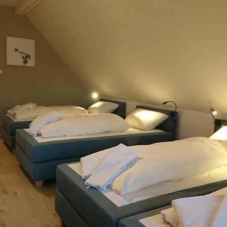Aparthotel Rock-inn *