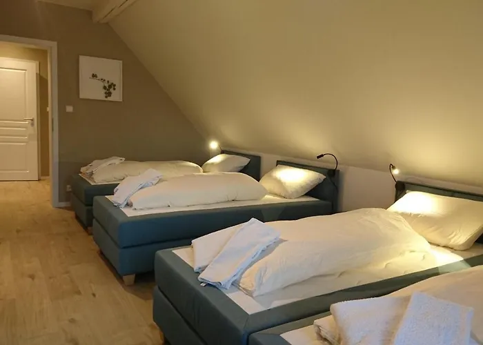 公寓式酒店 Rock-inn 4*